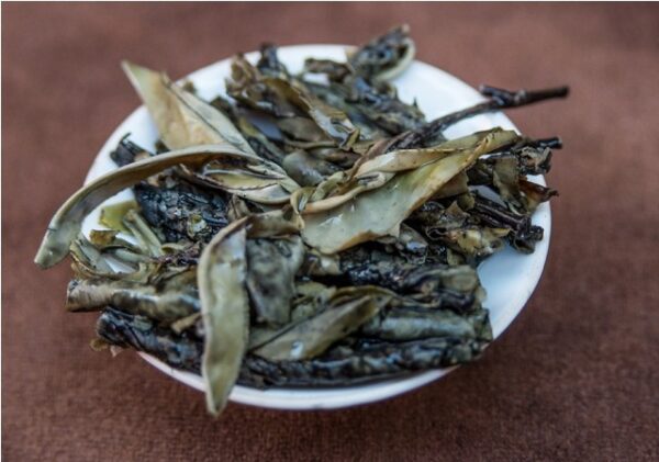 Kuding Cha (lat. Ilex latifolia) bylinkový čaj – Obrázok 4