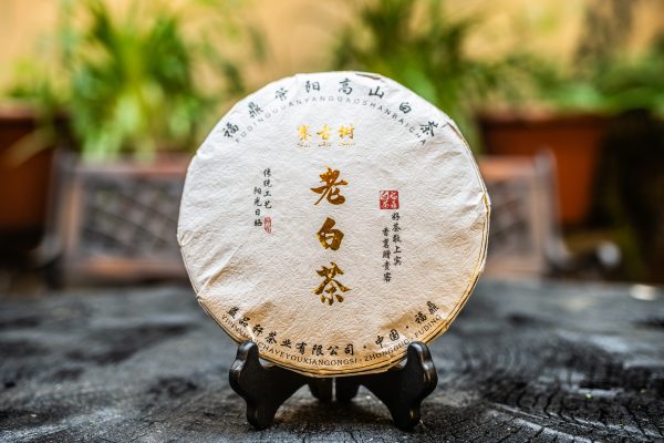 2021 Guan Yang Gong Mei Bing Cha biely čaj – Obrázok 2